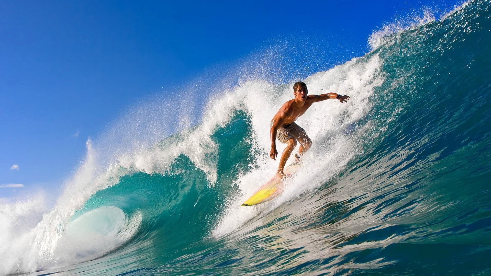 爱游戏-狼啸破夜,爱德华兹的制胜一击与森林狼的破晓时分